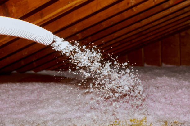 Best Types of Insulation in Morse, LA