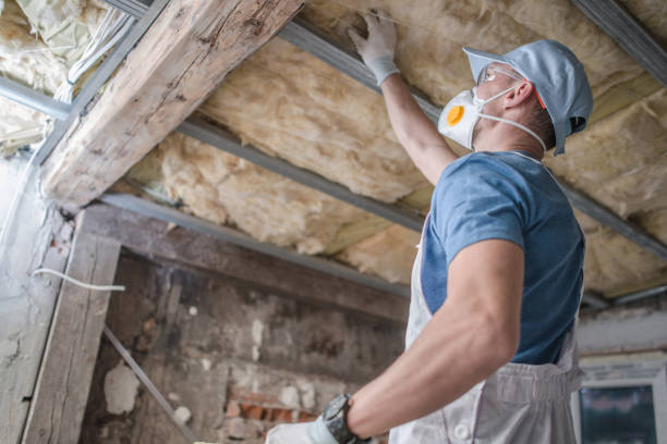 Best Insulation Installation Services in Morse, LA