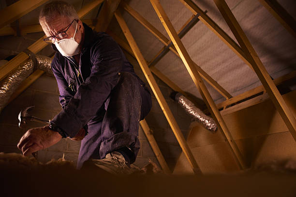 Best Insulation Materials and Products in Morse, LA